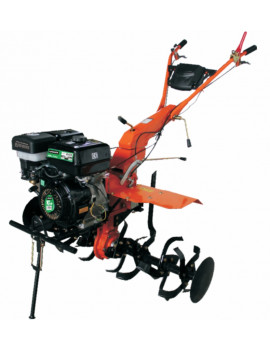 MOTOENXADA 10HP 4 VELOCIDADES 