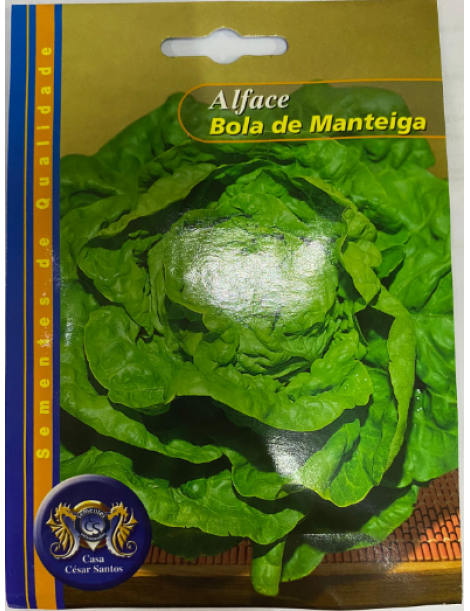 ALFACE BOLA MANTEIGA 10gr