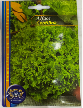 ALFACE GENTILINA 10GR