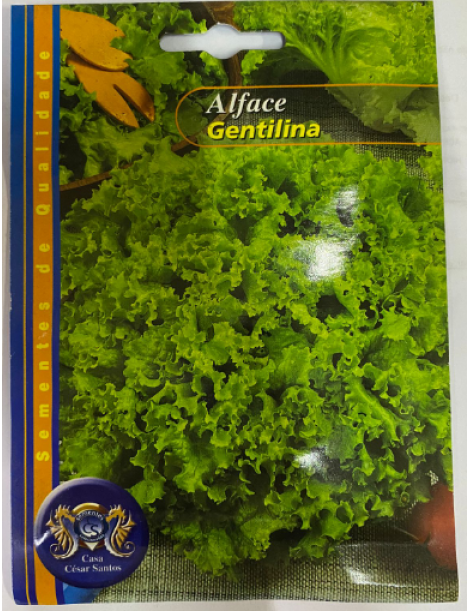 ALFACE GENTILINA 10GR