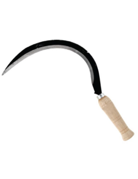 FOICINHA Nº2 (GRANDE)(CARPA)