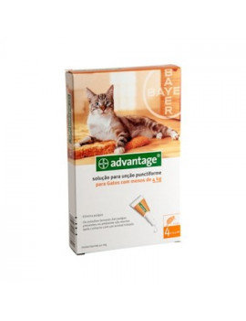 ADVANTAGE 40 GATO ATÉ 4KGS 1 PIPETA