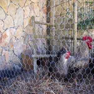REDE ZINCADA GALINHAS 100x2" 50X100