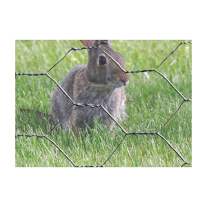 REDE HEXAGONAL (COELHOS) MALHA 13MM 0.50MTX0.50MT