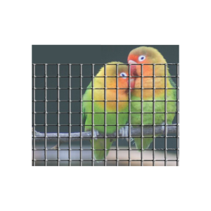 REDES QUAD.ZINC 13X13X0.8MM ELETROSOLDADA