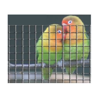 REDES QUADR.ZINC.25X25 100/1mt 1.7MM