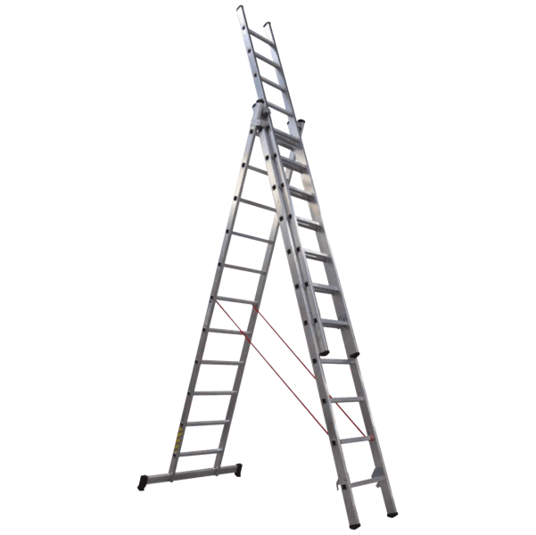 9065.png