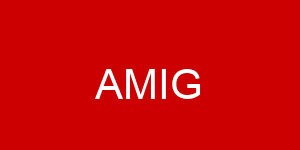 Amig